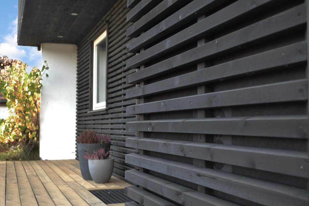 Concise skrålekt, setersvart