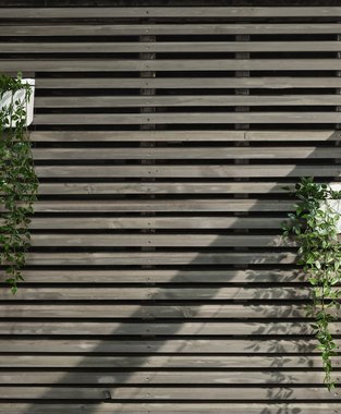 Concise skrålekt, grå