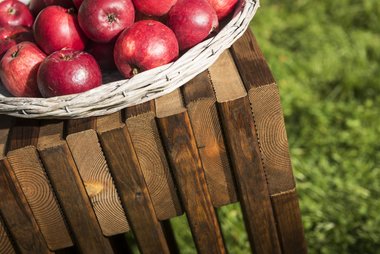 DIY, Bygg selv benk av terrassebord