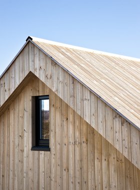 Concise Tretak , natur