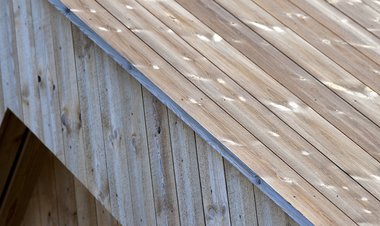 Concise Tretak , natur