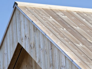 Concise Tretak , natur