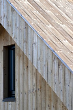 Concise Tretak , natur