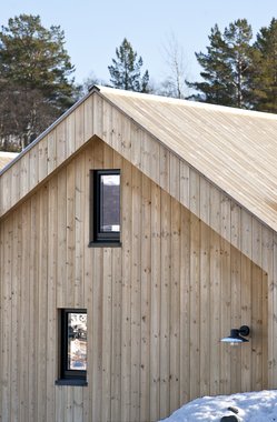 Concise Tretak , natur