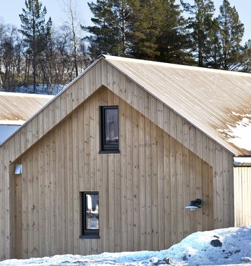 Concise Tretak , natur