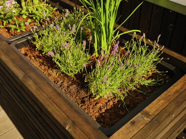 Østre Toten - Silje Skrinde, enebolig med uteområde i MøreRoyal på Toten