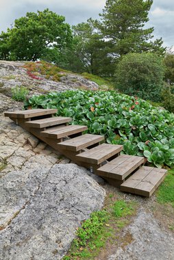 Larvik - Brunlanes, Ingunn Anvik, Hage i MøreRoyal