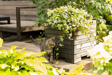 Miljøfoto: RE:FORM - liten blomsterkasse