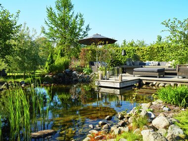 Halvor Bakke - Trae - Miljøfoto