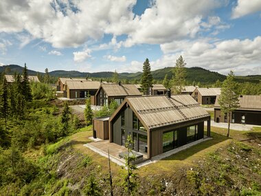 Nesbyen - Nesbyen Fjellgrend