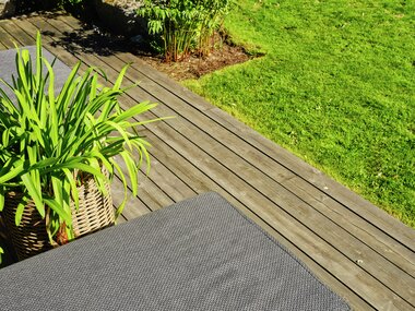 Halvor Bakke - Trae - Miljøfoto