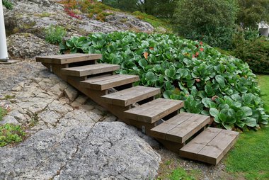 Larvik - Brunlanes, Ingunn Anvik, Hage i MøreRoyal