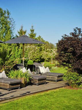 Halvor Bakke - Trae - Miljøfoto