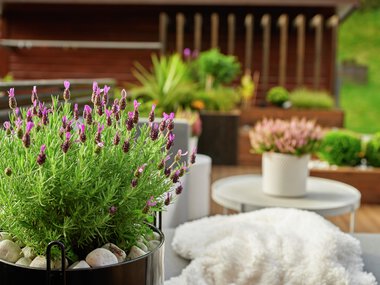 Trondheim - Flatåsen, Gunn Berit Fineidet, uteområde med MøreRoyal