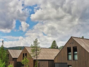 Nesbyen - Nesbyen Fjellgrend