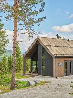 Nesbyen - Nesbyen Fjellgrend