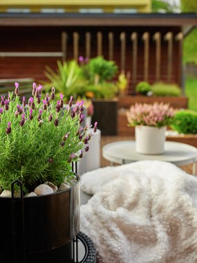 Trondheim - Flatåsen, Gunn Berit Fineidet, uteområde med MøreRoyal