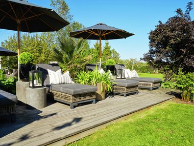 Halvor Bakke - Trae - Miljøfoto