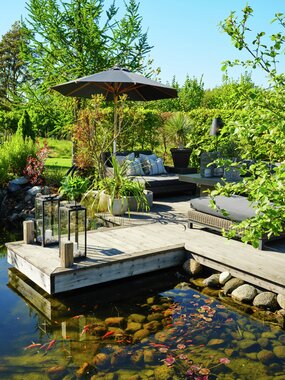 Halvor Bakke - Trae - Miljøfoto