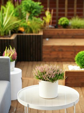 Trondheim - Flatåsen, Gunn Berit Fineidet, uteområde med MøreRoyal