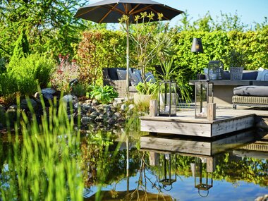 Halvor Bakke - Trae - Miljøfoto