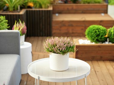 Trondheim - Flatåsen, Gunn Berit Fineidet, uteområde med MøreRoyal