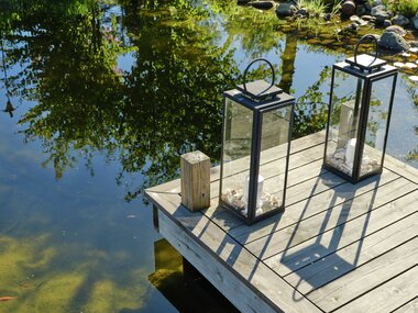 Halvor Bakke - Trae - Miljøfoto