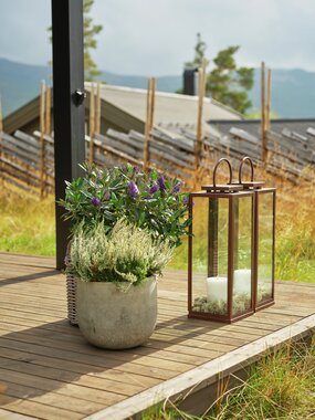 Halvor Bakke - Turufjell - Miljøfoto Terrasse 