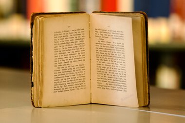 Førsteutgave av Sult