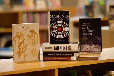 Utlånstoppen 2024: Fagbøker for voksne