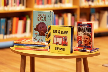 Utlånstoppen 2024: Fagbøker for barn og unge