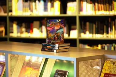 Utlånstoppen 2024: Fabelprosa for barn og unge