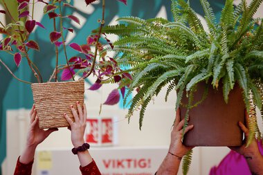 Deichman dyrker 2025