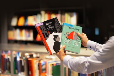 Utlånstoppen 2024: Tegneserier for voksne