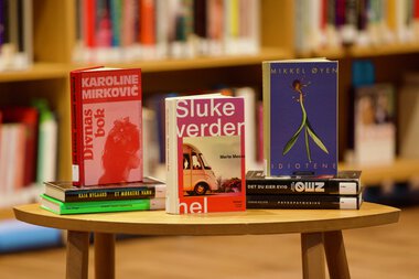 Utlånstoppen 2024: Debutantbøker for voksne