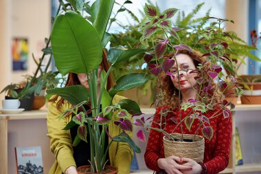 Deichman dyrker 2025