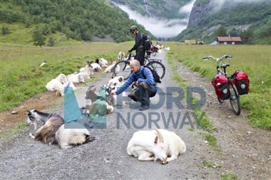 Rallarvegen, Sogn og Fjordane