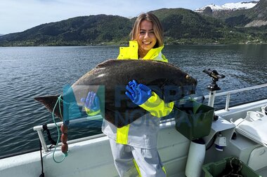 Balestrand Fjord Angling - Balestrand - Sognefjord