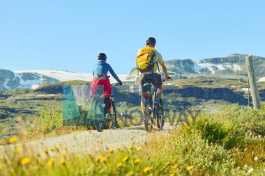Rallarvegen - Aurland, Sognefjord