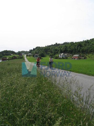 image-description