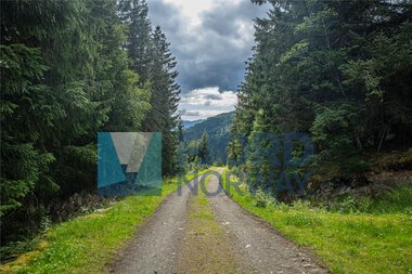 Fottur Grimsosen, Høyanger, Sognefjord