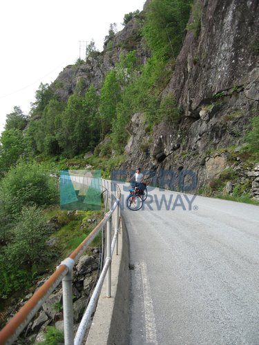 image-description