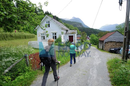 image-description
