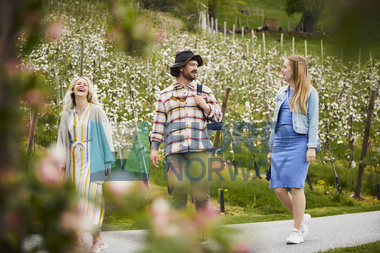 Sidersmaking og blomstring i Ulvik