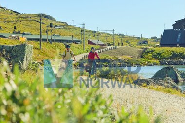 Rallarvegen - Aurland, Sognefjord