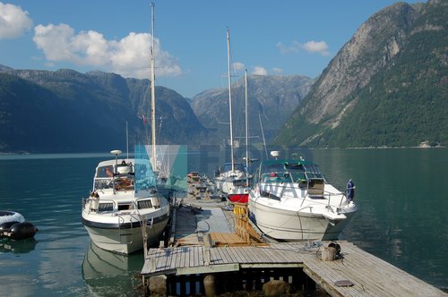 image-description