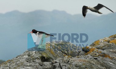 Motiv frå Kvinnherad