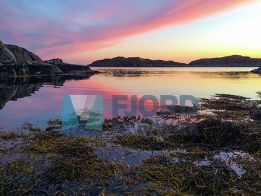 Kystlandskap i solnedgang
