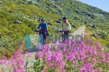 Rallarvegen - Aurland, Sognefjord