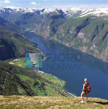 Utsikt over Aurlandsfjord